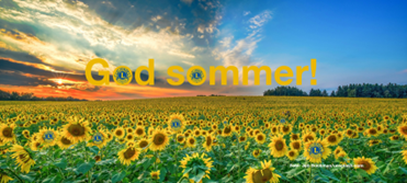 Artikkelbilde til artikkelen God sommer!