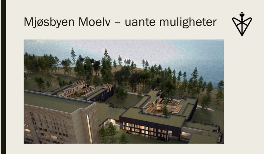 Tema på klubbmøtet vårt onsdag: «Moelv - hva nå?»